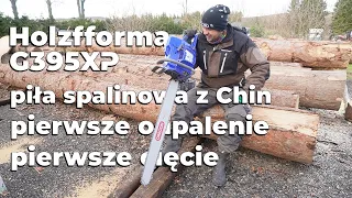 Holzforma G395XP - First Firing - First Cut - Impression After Purchasing A Chinese Saw