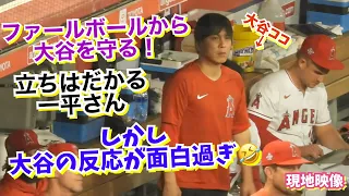 感動‼️大谷翔平を守る一平さん しかし大谷の反応が最高だった🤣【現地映像】