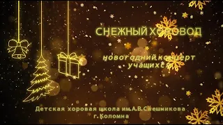 Новогодний концерт-поздравление "Снежный  хоровод".