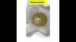 Native Palladium Acid Test. Using Platinum test.