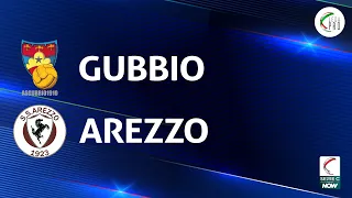 Gubbio - Arezzo 2-0 | Gli Highlights