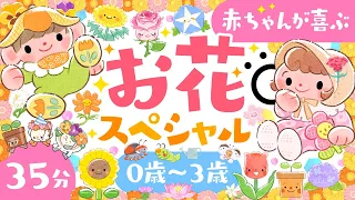 【赤ちゃんが喜ぶ音楽】赤ちゃんの笑いが止まらないお花スペシャル🌷│赤ちゃんが泣き止む 笑う 喜ぶ 寝る│0歳1歳2歳3歳の知育アニメ│乳児・幼児向け知育動画【子供の歌】