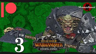 Total War: Warhammer 3 Immortal Empires - Grimgor's 'Ardboyz, Grimgor Ironhide #3