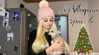 VLOGMAS 🎅🏽 ZIUA 6 🎅🏽 UN BRAD URIAȘ | LA CUMPĂRĂTURI CU IUBITUL MEU