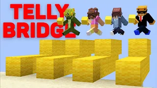 The Ultimate Telly Bridging Team (V2)