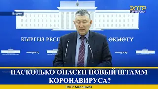 НАСКОЛЬКО ОПАСЕН НОВЫЙ ШТАММ КОРОНАВИРУСА?