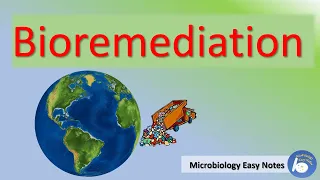 Bioremediation principle, methods, techniques advantages and disadvantages