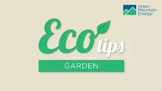 Top Eco-Friendly Gardening and Outdoor Tips