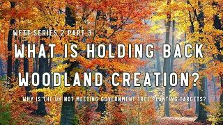 What is holding back woodland creation in the UK?  - Why are we not meeting tree planting targets?
