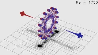 Head-on vortex ring collision