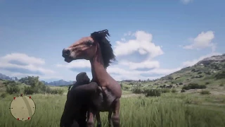 Red Dead Redemption 2 - How To Catch A Mustang