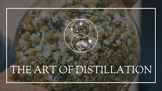 The Art of Distillation in Spagyrics