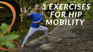 3 Essential Hip Mobility Exercises for Seniors | Qigong with Lee Holden