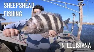 SHEEPSHEAD FISHING IN LOUISIANA