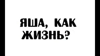 Яша, как жизнь?