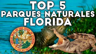 🌿 Los 5 Mejores PARQUES NATURALES de FLORIDA (USA) - 2024