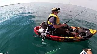 Western Port Bay - Kayak Fishing - Shoreham is awesome!