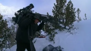 Brutal Journey to Film Mountain Goats | North America