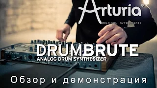 Arturia Drum Brute - обзор