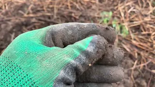 Коп в Нижегородской области