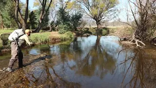 Autumn dry fly fishing in northeast Victoria