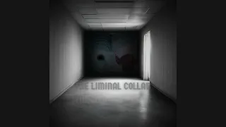 The Liminal Collab Feat Liminality. Liminal/ambient music video. Full Audio Album