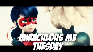 Tuesday || Miraculous Ladybug SHORT MV