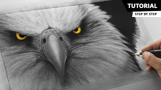 How to Draw Realistic Eagle | Tutorial for BEGINNERS