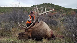 Three Amazing Elk Hunts - MossBack