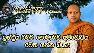 සිත් පහන් වැට | ඉන්ද්‍රීය ධර්ම වැඩීම හා අවබෝධය | පින්වත් හසලක සීලවිමල ස්වාමීන් වහන්සේ