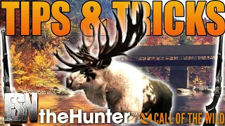 Top 10 TIPS & TRICKS for theHunter: Call of the Wild in 2023