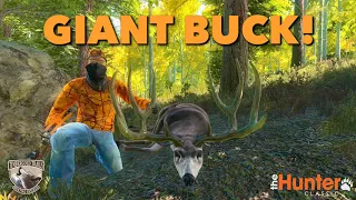 Giant Mule Deer Buck! | Trophy Hunting In The Hunter Classic