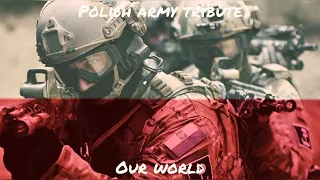 Polish armed forces tribute 2023