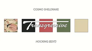 Cosmo Sheldrake - Hocking (Edit)