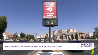 15 ноября : Новости. Сегодня в мире (выпуск от 12:00)