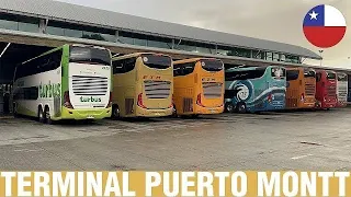 Terminales y Rodoviarios #19 | Movimiento de Buses en Terminal Rodoviario de Puerto Montt (Parte 3)