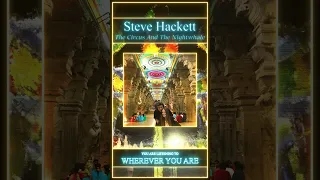 Steve Hackett - Wherever You Are #shorts