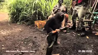 RISE OF THE PLANET OF THE APES | Viral Video: Ape With AK-47