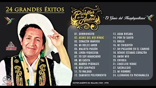 PICAFLOR DE LOS ANDES - Éxitos de oro (Bodas de Plata)