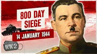 Ep 229 - Time to Liberate Leningrad! - January 14, 1944