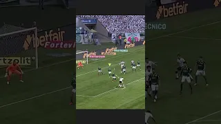 TIQUINHO SOARES - GOL do BOTAFOGO 1x0 PALMEIRAS