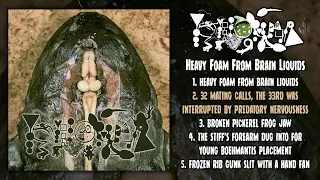 Phyllomedusa - Heavy Foam From Brain Liquids FULL EP (2020 - Goregrind / Gorenoise)