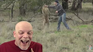 REACTION VIDEO | "Man Punches A Kangaroo In The Face To Rescue His Dog"