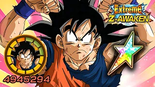 100% EZA F2P PHY NAMEK GOKU [LEVEL 10 LINKS] + STICKER EFFECT! Dragon Ball Z Dokkan Battle