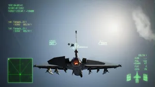 Ace Combat 7 Round Battle Royale F-2A SK