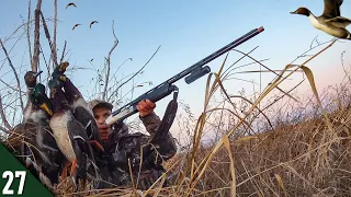 MALLARDS Dumped Into My Spread! | SOLO Afternoon Duck Hunt 2022 (Drakes Only)