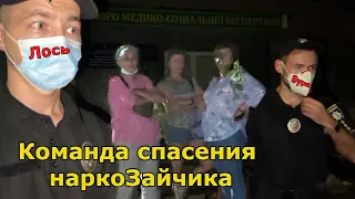 Лось с бабами пришли спасать наркоЗайчика