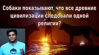 Собаки показывают, что все древние цивилизации следовали одной религии? [№ B-068.16.01.2022.]