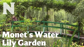 Monet's Water Lily Garden and Japanese Footbridge