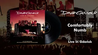 David Gilmour - Comfortably Numb (Live In Gdansk Official Audio)